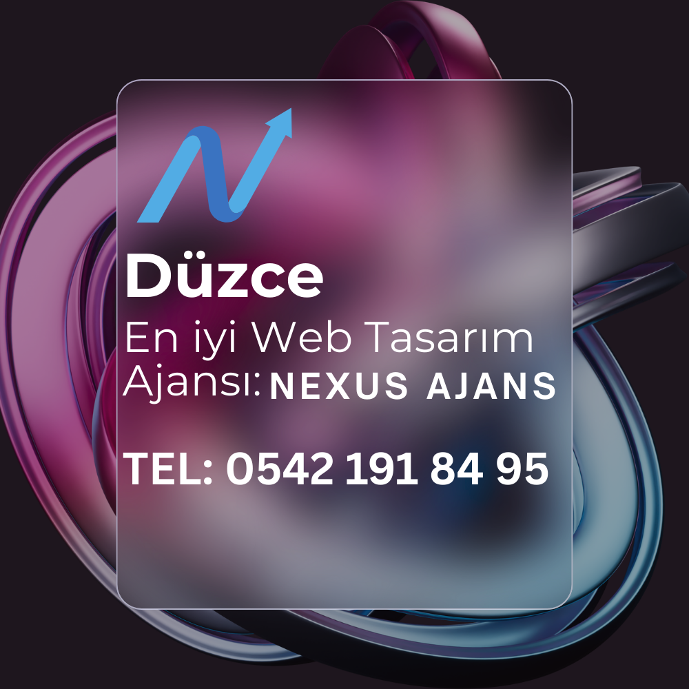 Düzce Web Tasarım Ajansı Nexus Ajans Ekibi