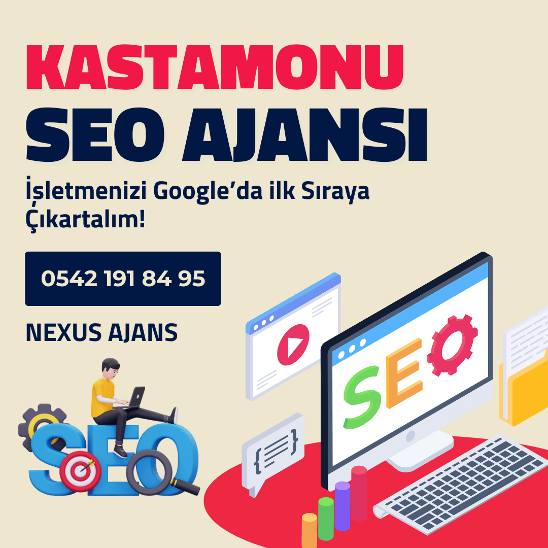 Kastamonu SEO Ajansı Hizmeti