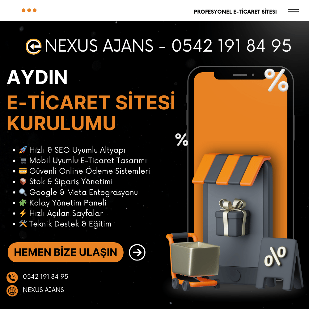 Aydın e-ticaret sitesi kurulumu ve profesyonel web tasarım hizmetleri